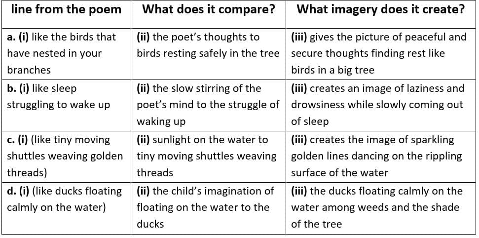Textbook Solutions: The Banyan Tree | Gul Mohar Class 6: Book Solutions, Summaries & Worksheets
