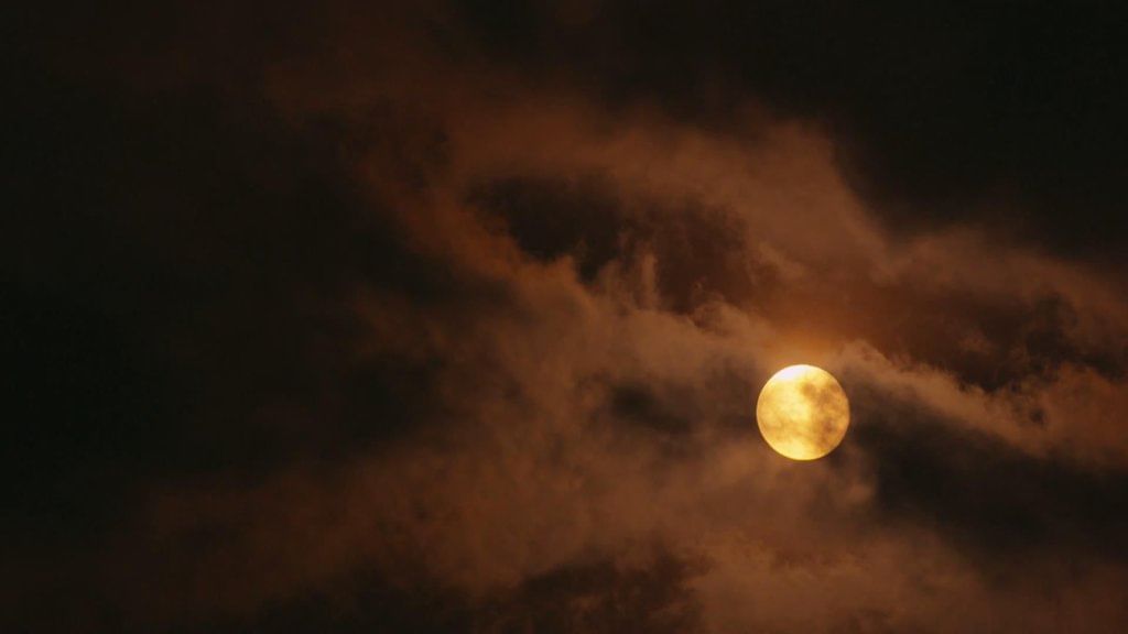 Unit Test: Keeping Time with the Skies | Science Curiosity Class 8 -  New NCERT