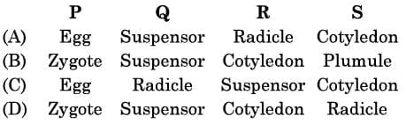 Multiple Choice Questions (MCQs) - 1 Mark