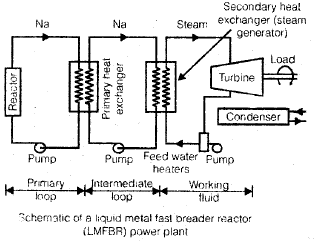 Nuclear Power Plants | Mechanical Engineering SSC JE (Technical)