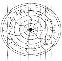 Conversion of Timber