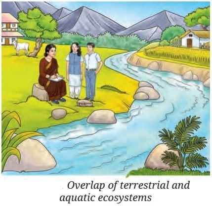 How Nature Works in Harmony Chapter Notes | Chapter Notes For Class 8