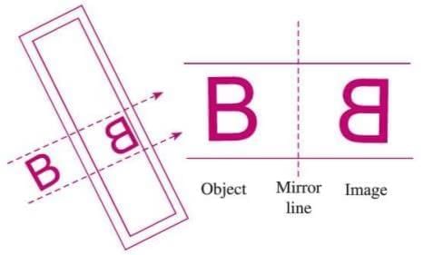 Symmetry, Reflection, and Rotation Chapter Notes | Mathematics Class 7 ICSE