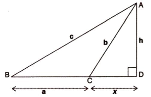 Pythagoras Theorem Chapter Notes | Mathematics Class 9 ICSE