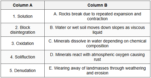 Weathering Worksheet - Class 9 Geography ICSE PDF Download