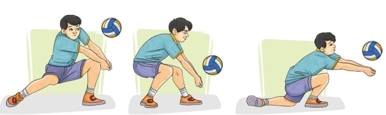 Fundamental Skills of Sports – Volleyball Chapter Notes | Physical Education for Grade 6