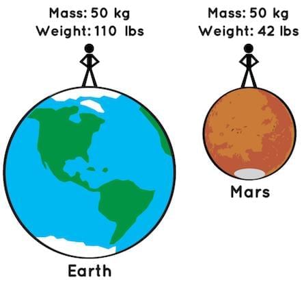 MCQ and Extra Questions - Exploring Forces | Science Curiosity Class 8 -  New NCERT