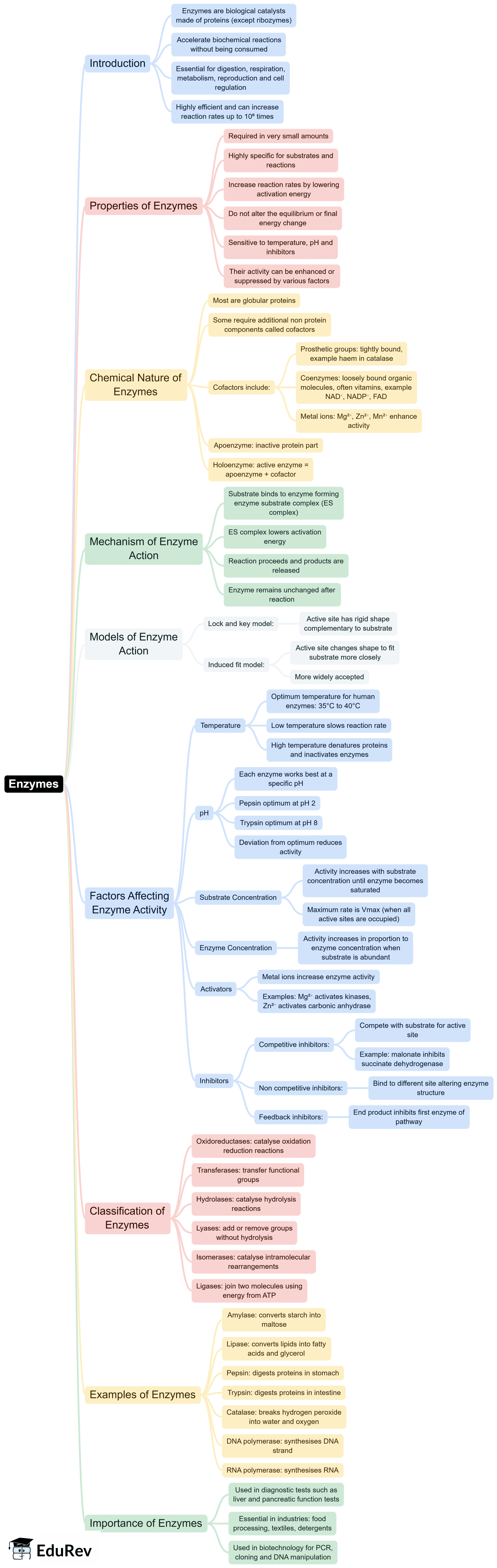 Mind Map: Biomolecules