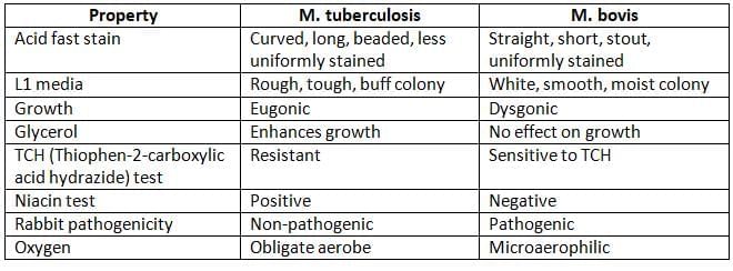 Mycobacteria Chapter Notes | Microbiology - NEET PG