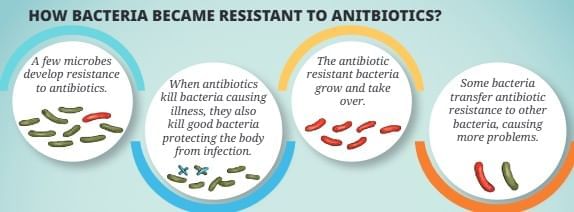 Health: The Ultimate Treasure Chapter Notes | Science Curiosity Class 8 - New NCERT