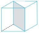 Symmetry Chapter Notes | Mathematics Class 6 (SSC Board)