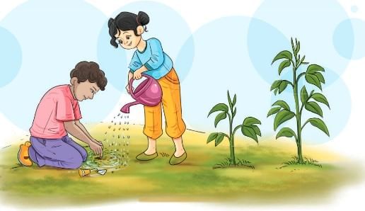 Short and Long Answer Questions: The Cherry Tree | English Poorvi Class 8 - New NCERT