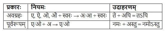 व्याकरणम् Chapter Notes | Chapter Notes For Class 8