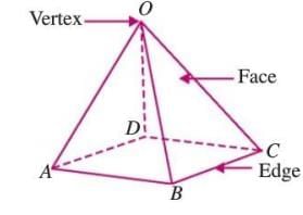 Three-dimensional Shapes Chapter Notes | Mathematics Class 6 ICSE