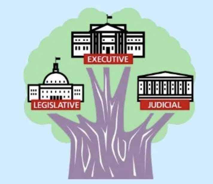 1. Three Organs of Government