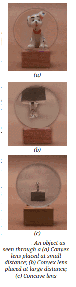 Light: Mirrors and Lenses Chapter Notes | Chapter Notes For Class 8