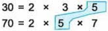 Important Questions with Solutions: Fractions - 1 | Mathematics (Maths Mela) Class 5 - New NCERT