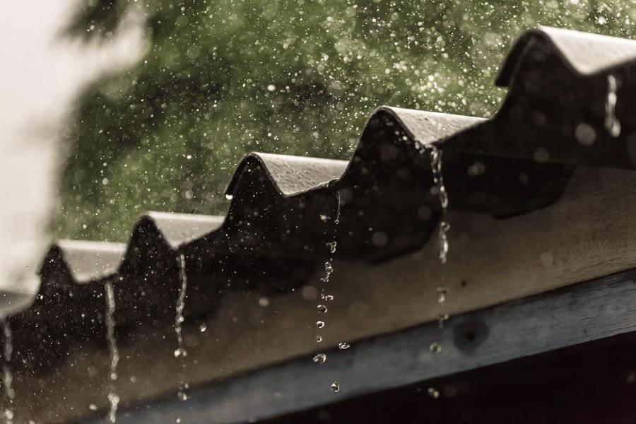 Rain on the Roof Summary Class 9 English Beehive Chapter 3