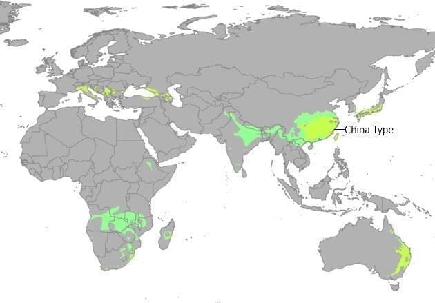 Climatic Regions of the World | Geography for UPSC CSE