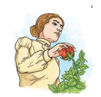 3-Days Study Plan: Three Days to See | English Poorvi Class 7 - New NCERT