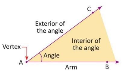 Geometry Chapter Notes | Mathematics for Grade 5