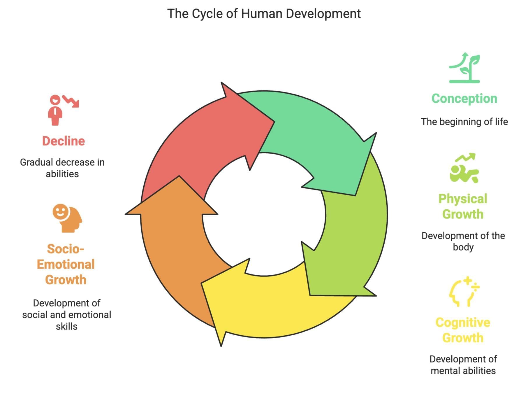 Revision Notes: Human Development | Psychology Class 11 - Humanities/Arts