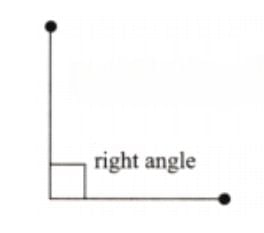 Unit Test (Solutions): Lines and Angles | Mathematics for Class 6