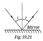 Light: Mirrors and Lenses NCERT Solutions | Science Curiosity Class 8 -  New NCERT