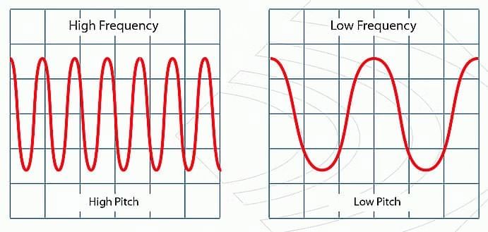 Sound Chapter Notes | General Science Class 8 (Maharashtra Board)