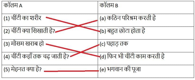 Worksheet Solutions: चींटी | Worksheets with solutions for Class 3