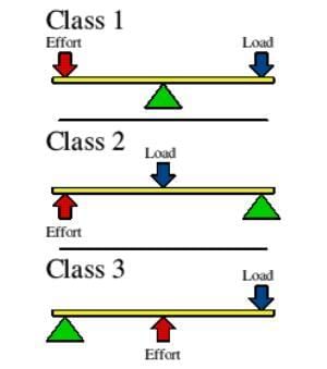 Simple Machine Chapter Notes | Eureka Plus Class 5: Book Solutions, Notes & Worksheets