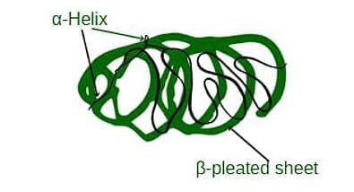 4. Tertiary Structure of Proteins