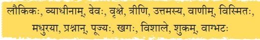 कोऽरुक् ? कोऽरुक् ? कोऽरुक् ? NCERT Solutions | Sanskrit  (Deepakam) Class  8  -  New  NCERT - Class 8