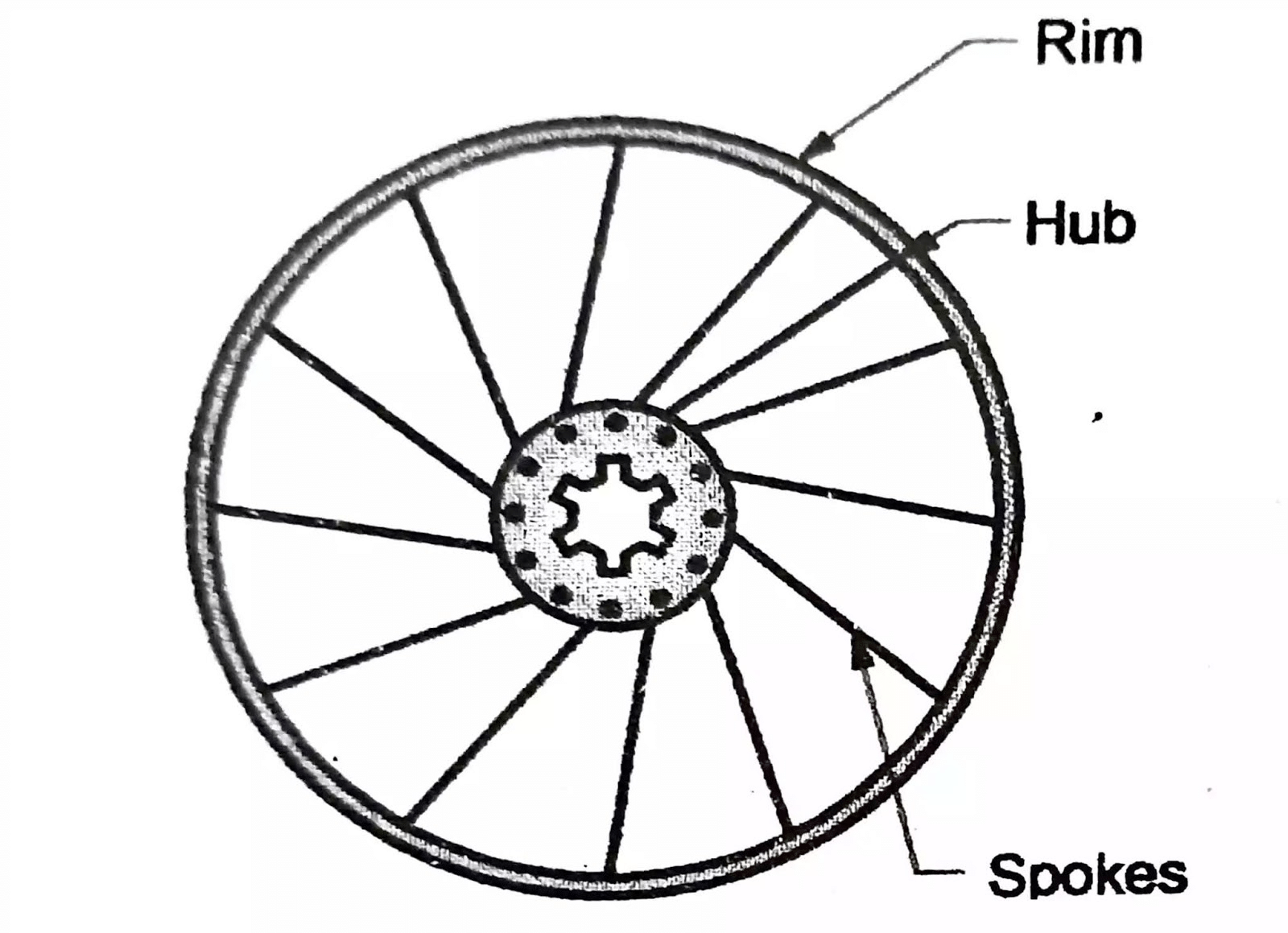 Short Answer Questions: Invention of Wheel | EVS for Class 2
