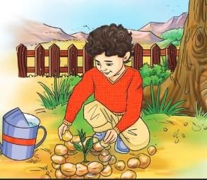 Very Short Answer Questions: The Cherry Tree | English Poorvi Class 8 - New NCERT