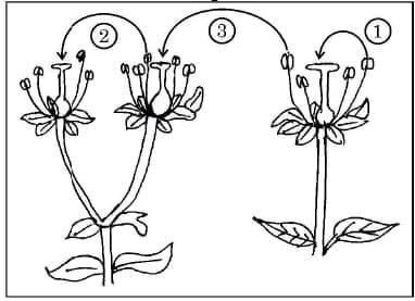Long Answer Type Questions (5 Marks)