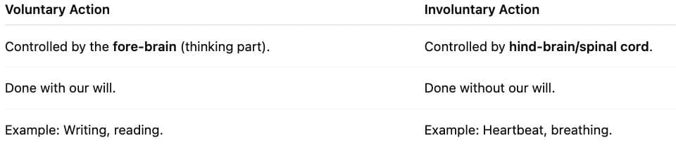 Previous Year Questions 2025