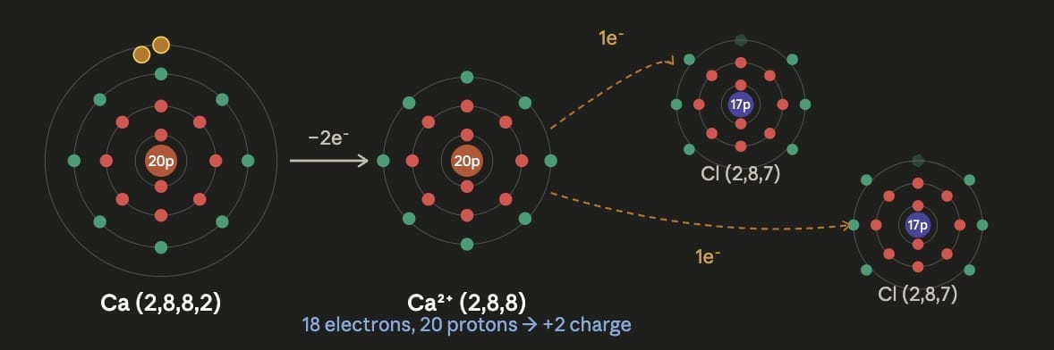 Pause and Ponder (Page 173)