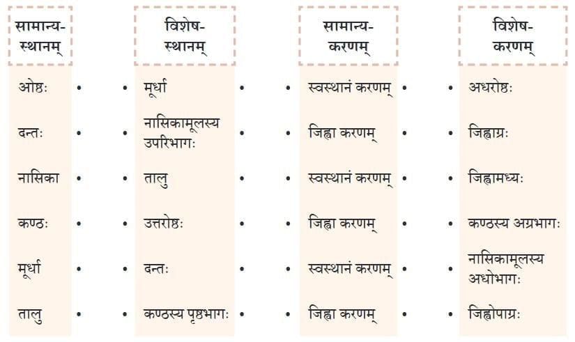 वर्णोच्चारण-शिक्षा १ NCERT Solutions | Sanskrit  (Deepakam) Class  8  -  New  NCERT - Class 8