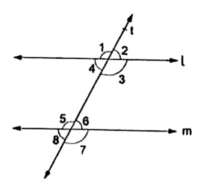 Worksheet Solutions: Parallel and Intersecting Lines | Worksheets with solutions for Class 7