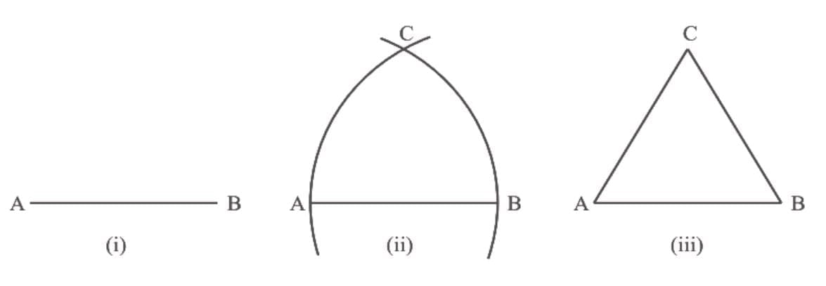 Unit Test (Solutions): Introduction to Euclid`s Geometry