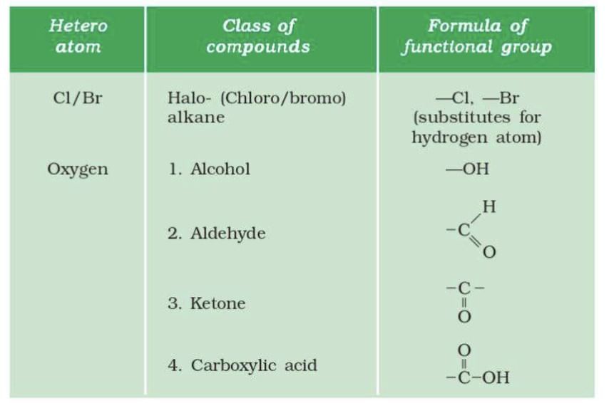 Cheat Sheet: Carbon and its Compounds | Preparation for EmSAT Grade 10
