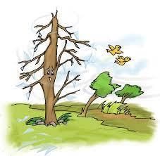 The Little Fir Tree Class 4 Worksheet English