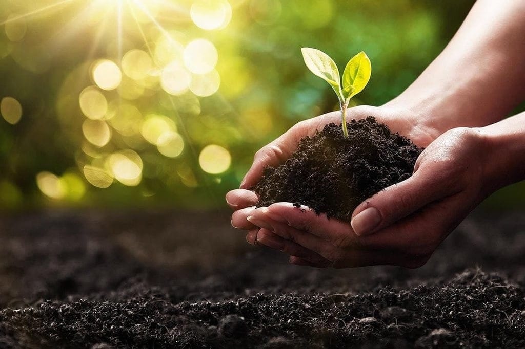Fertile Soil