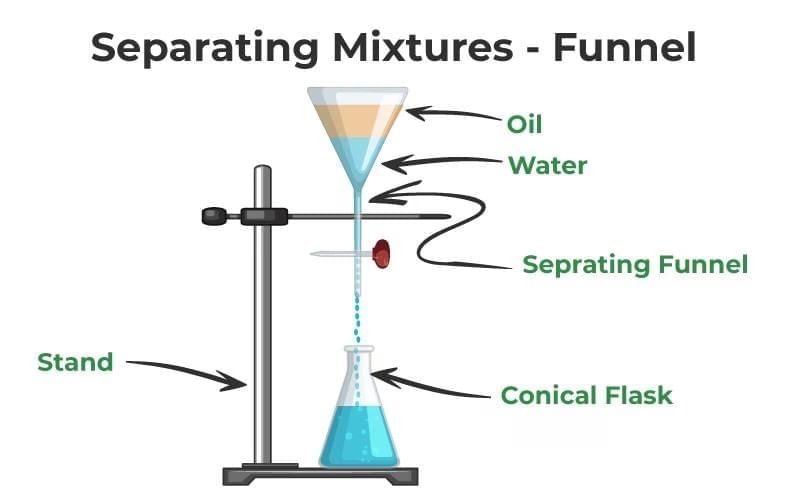 Important Points: Nature of Matter: Elements, Compounds, and Mixtures | Science Curiosity Class 8 -  New NCERT