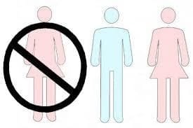 Bigamy (Sections 494-495)