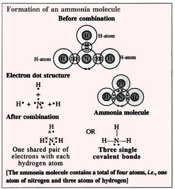 Atomic Structure and Chemical Bonding Chapter Notes | Chemistry for SSS 1