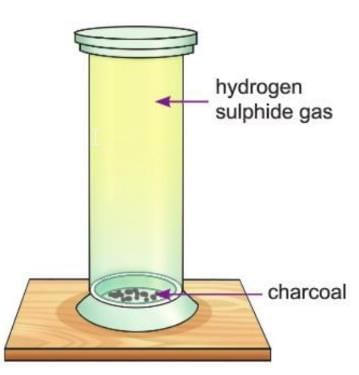 Carbon and Its Compounds Chapter Notes | Chemistry Class 8 ICSE