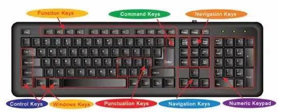 Information and Communication Technology Skills Chapter Notes | Artificial Intelligence for Class 10