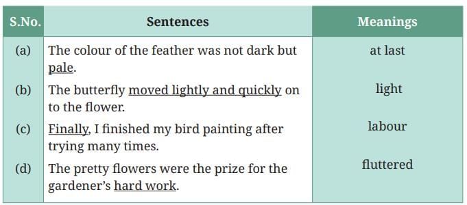 What a Bird Thought NCERT Solutions | English for Class 6